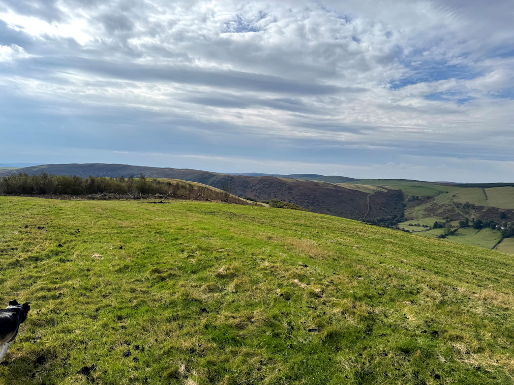 Cefn Cenarth (460m)