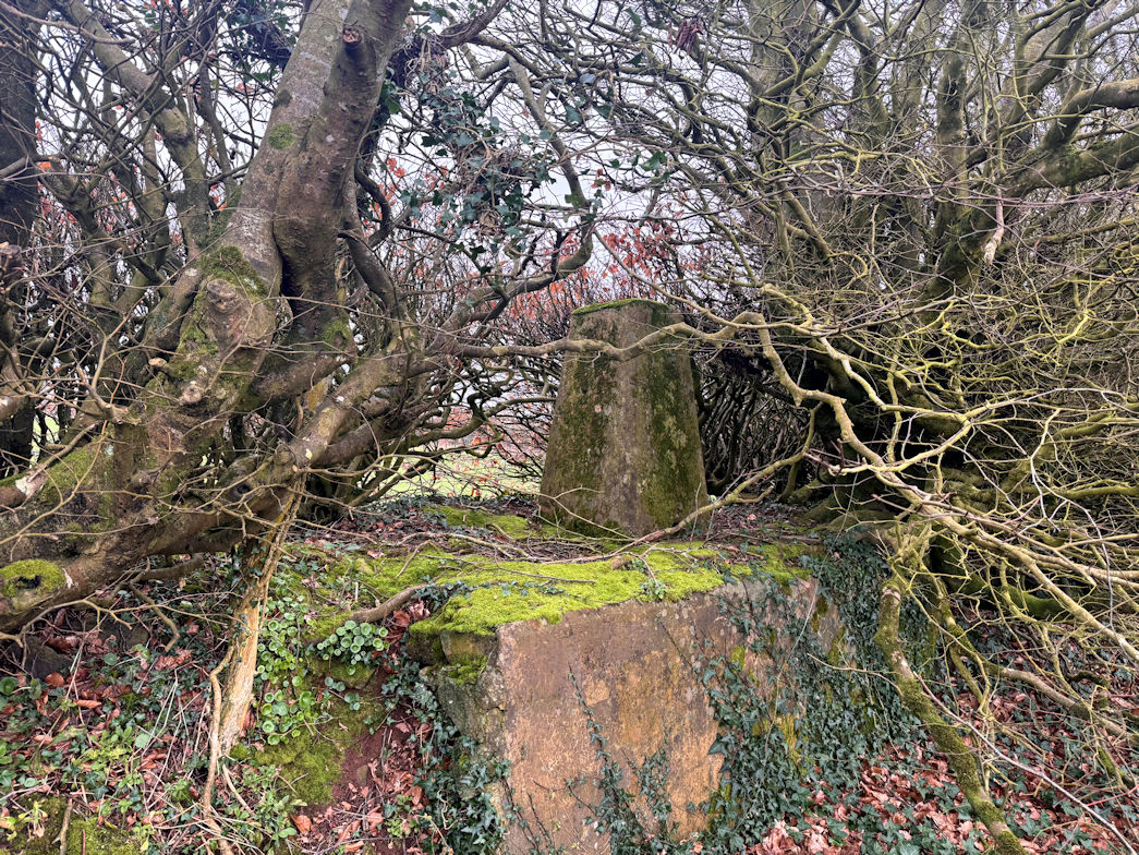 Christ Cross Christ Cross