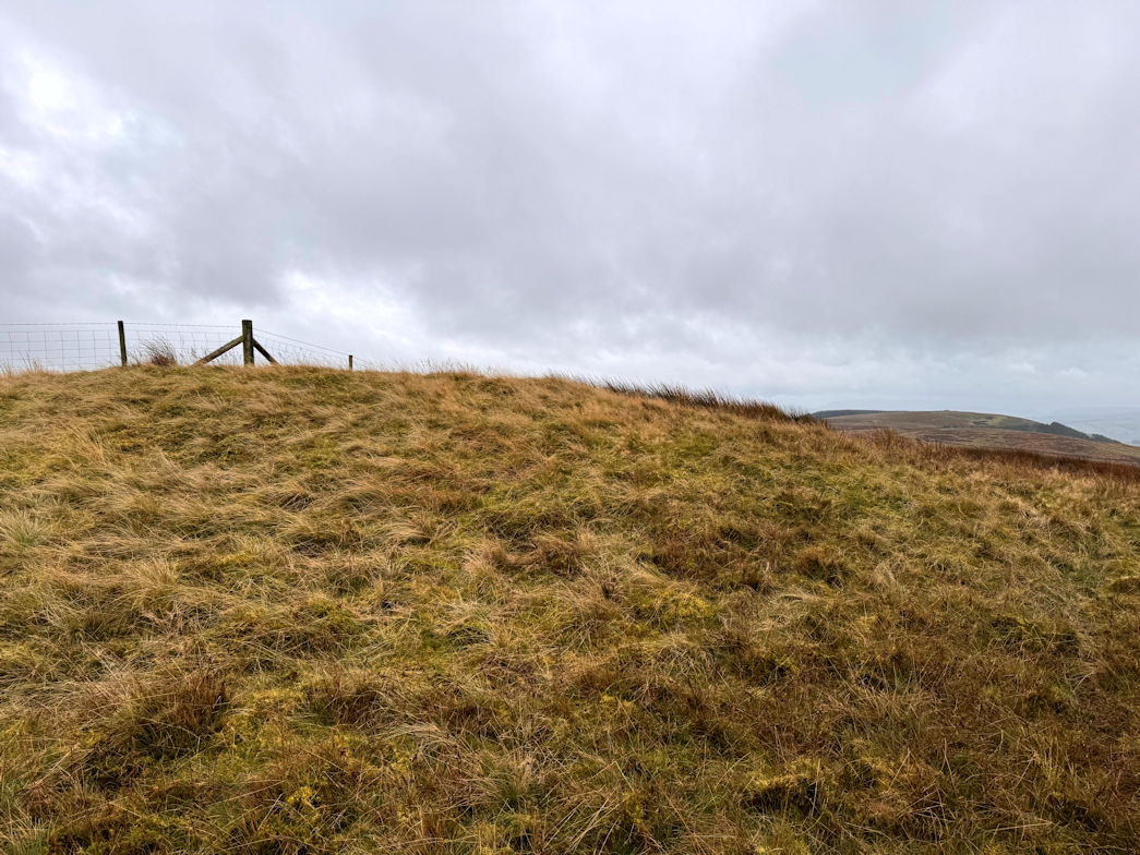 Crugyn Llwyd (571m)