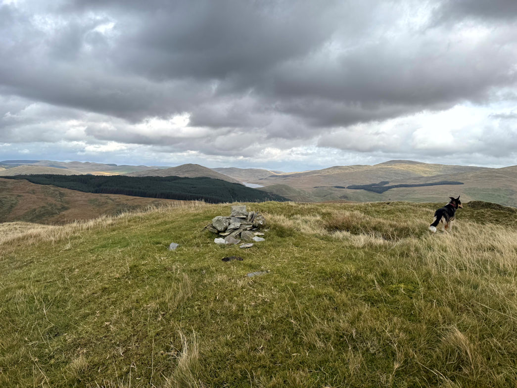 Disgwylfa Fawr (507m)