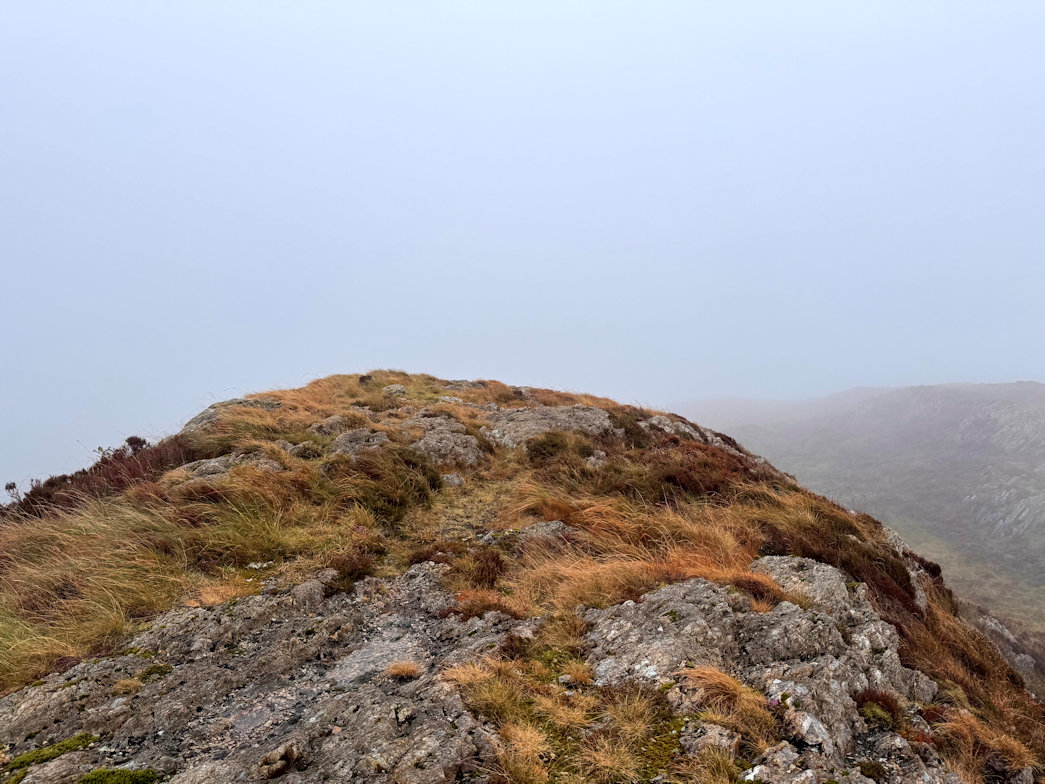 Moel y Dyniewyd