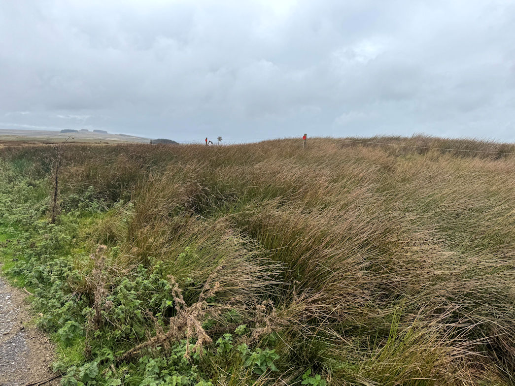 Mynydd Epynt