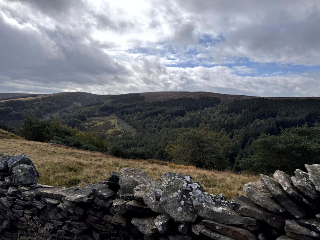 Foxlow Edge