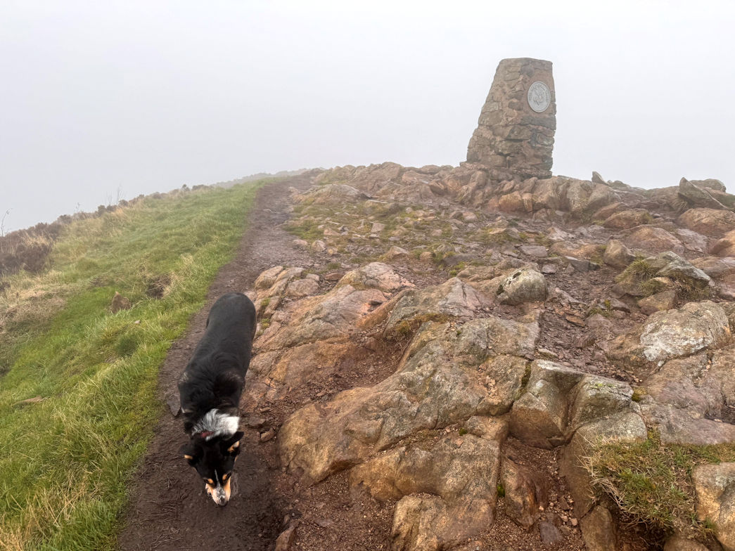 Gowbarrow Fell (481m) Gowbarrow Fell (481m)