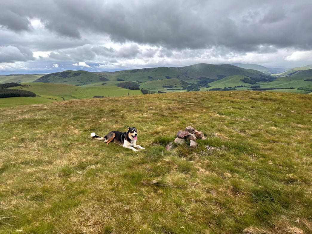 Housedon Hill