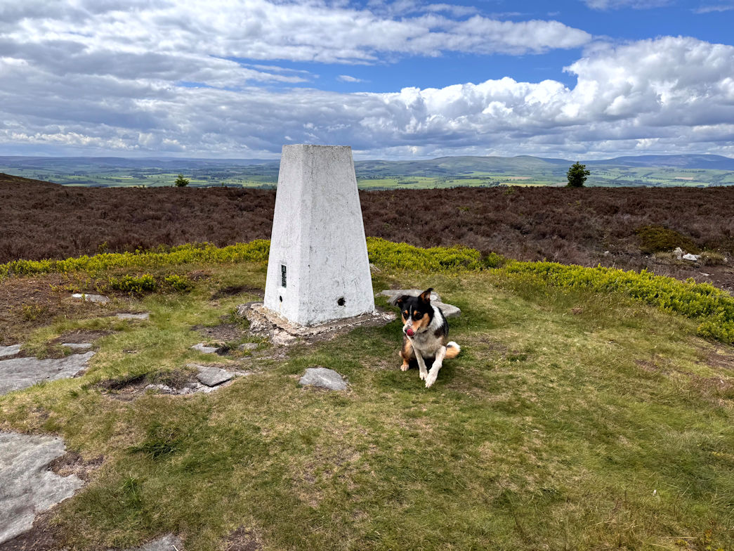 Long Crag