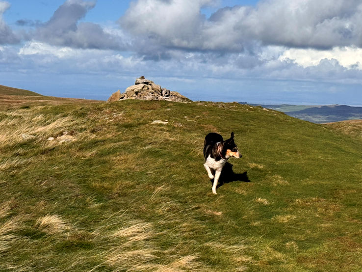 Low Fell (423m) Low Fell (423m)