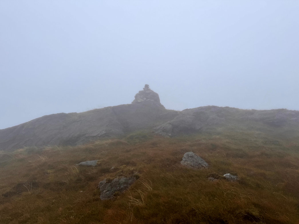 Moel Ddu