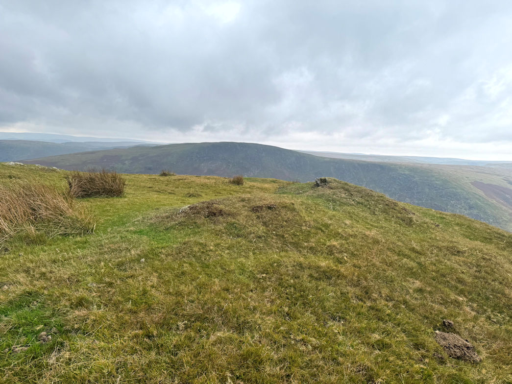 Moelfryn (522m)