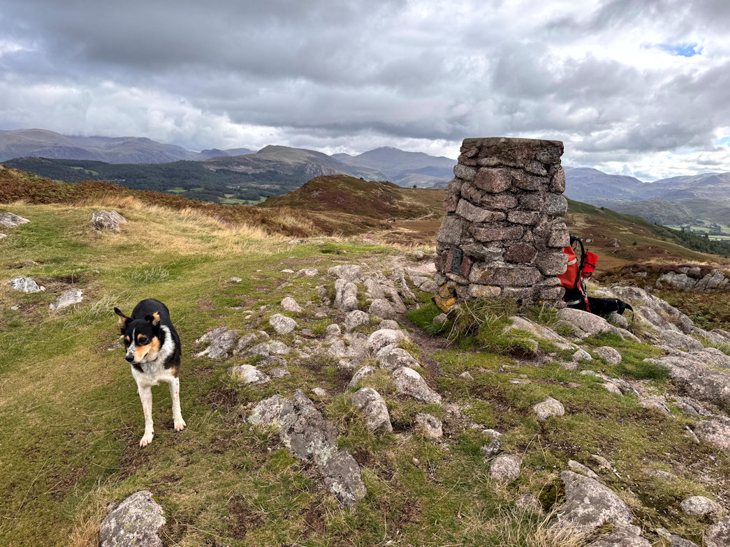 Muncaster Fell Muncaster Fell
