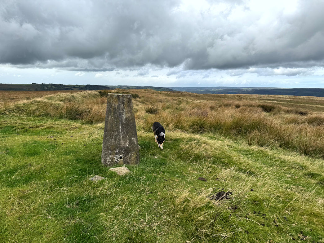 Mynydd Cynros