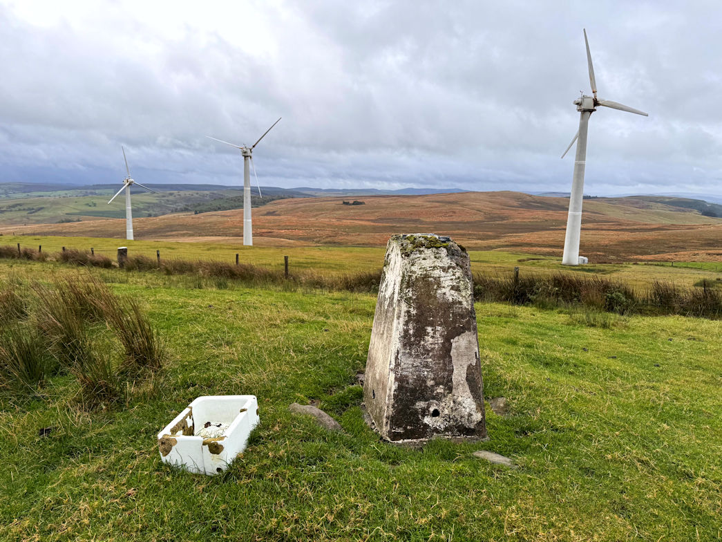 Pegwn Mawr(586m)
