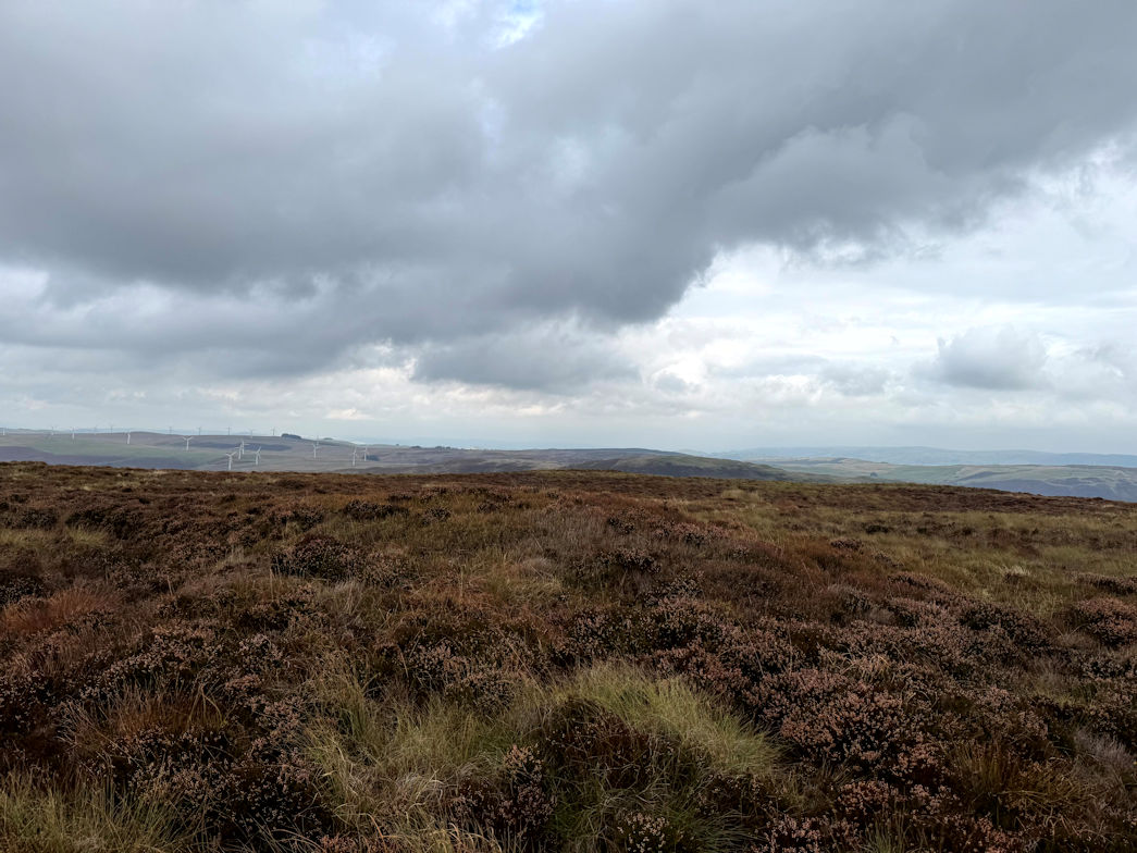 Penrhiw Wen (520m)