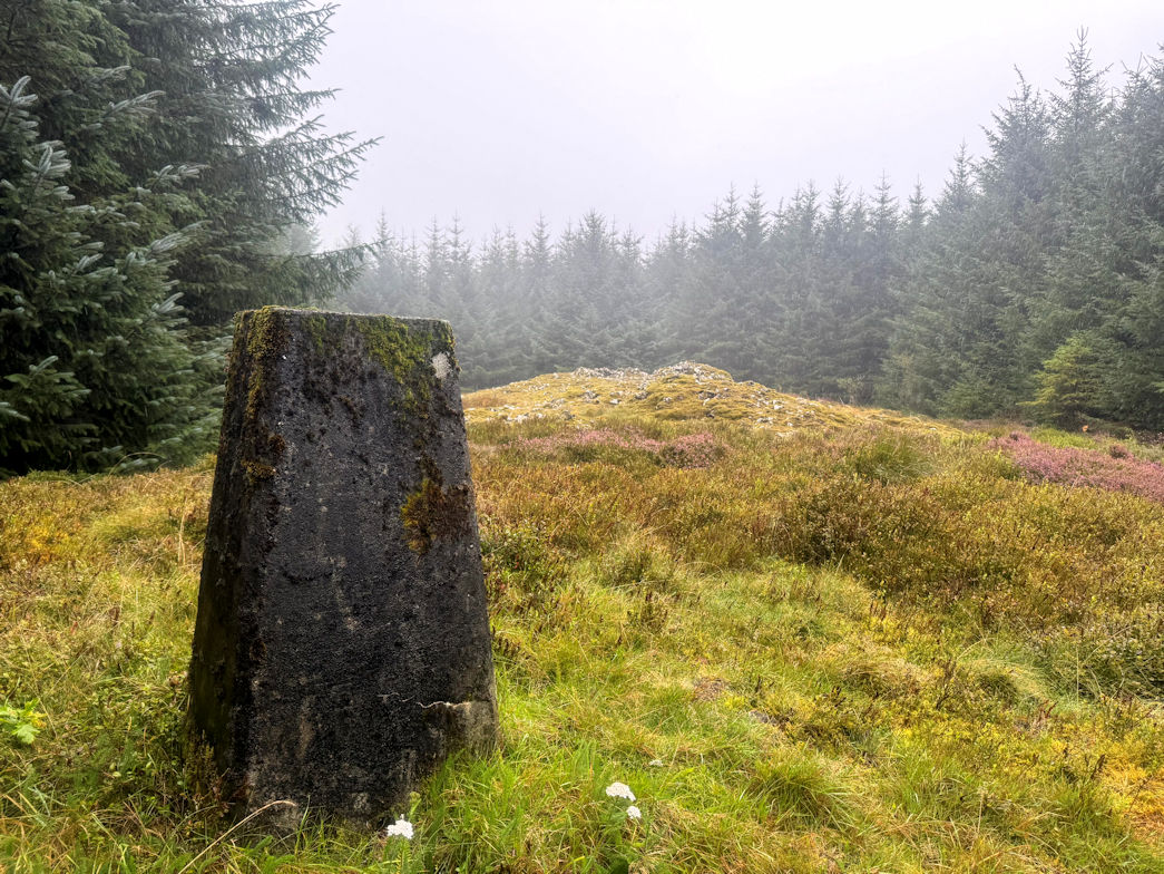 Pen y Garn Goch