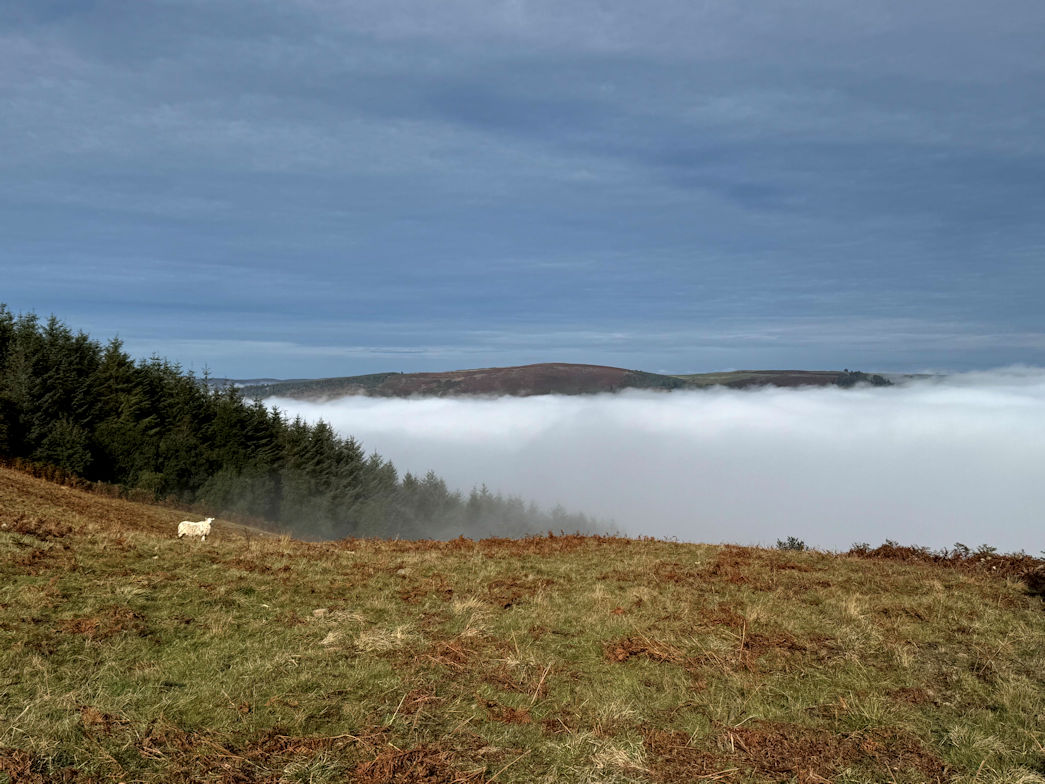 Mist in the valley