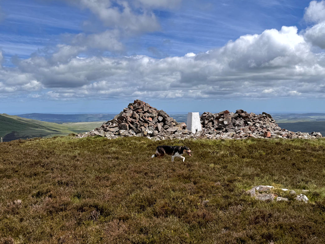 Shill Moor