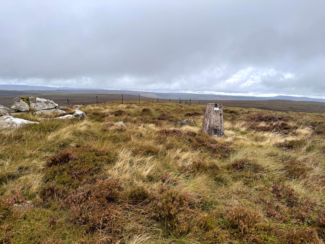 Sighty Crag (520m) Sighty Crag (520m)