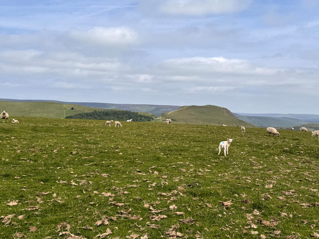 Slitherstone Hill Slitherstone Hill