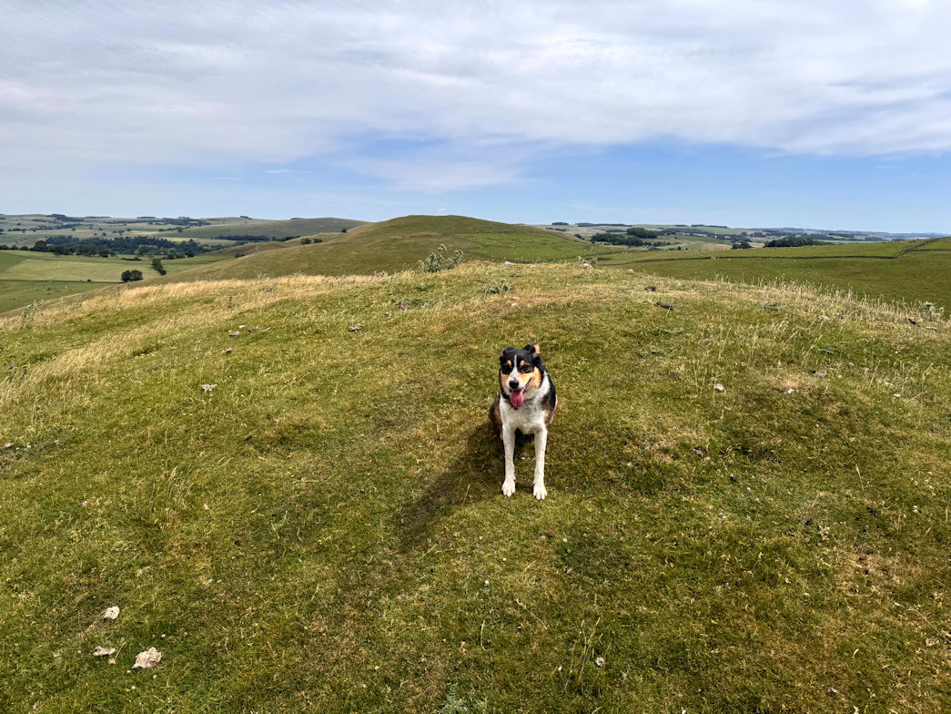 Wetton Hill (372m)
