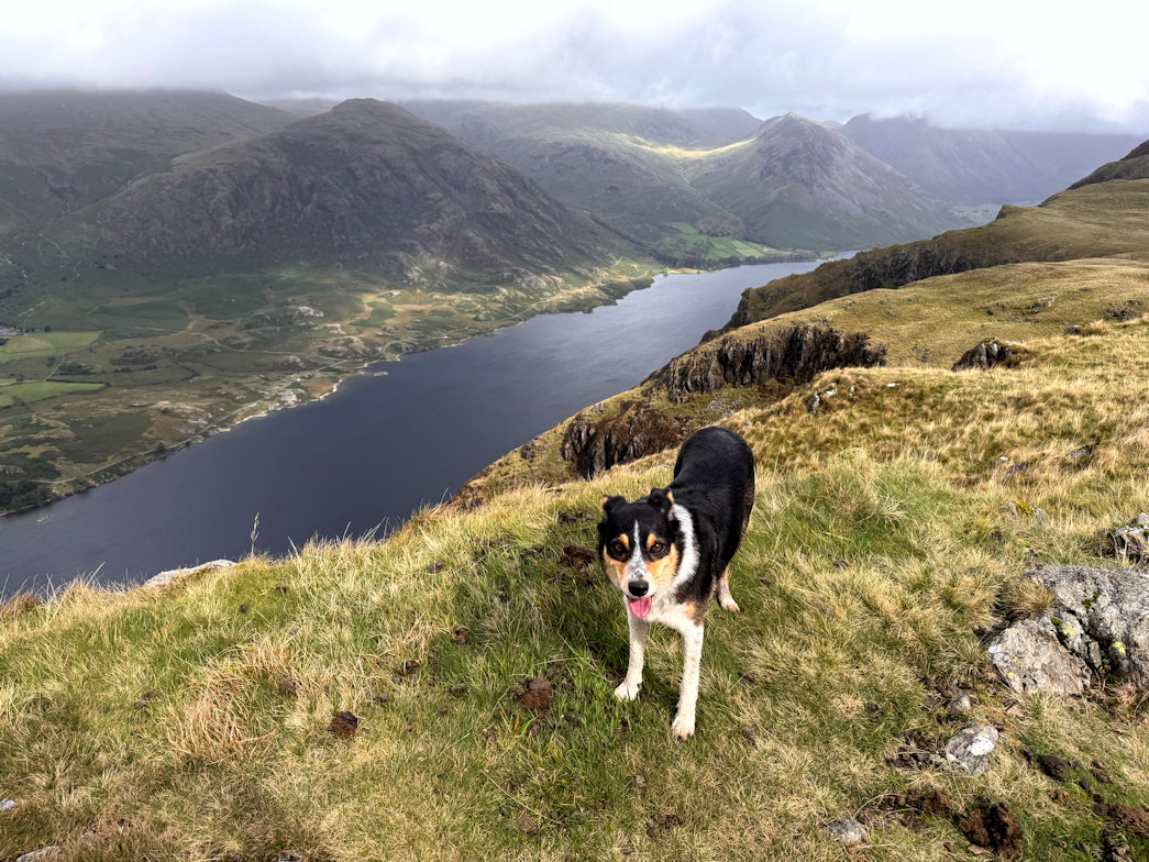 Whin Rigg Whin Rigg