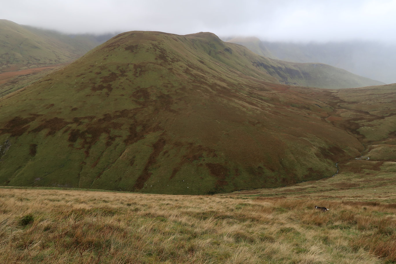 Looking to the summit of Hafod Looking to the summit of Hafod