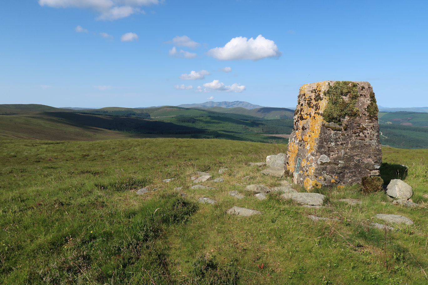 Summit of Foel Cwn-Sian Llwd (648m) Summit of Foel Cwn-Sian Llwd (648m)