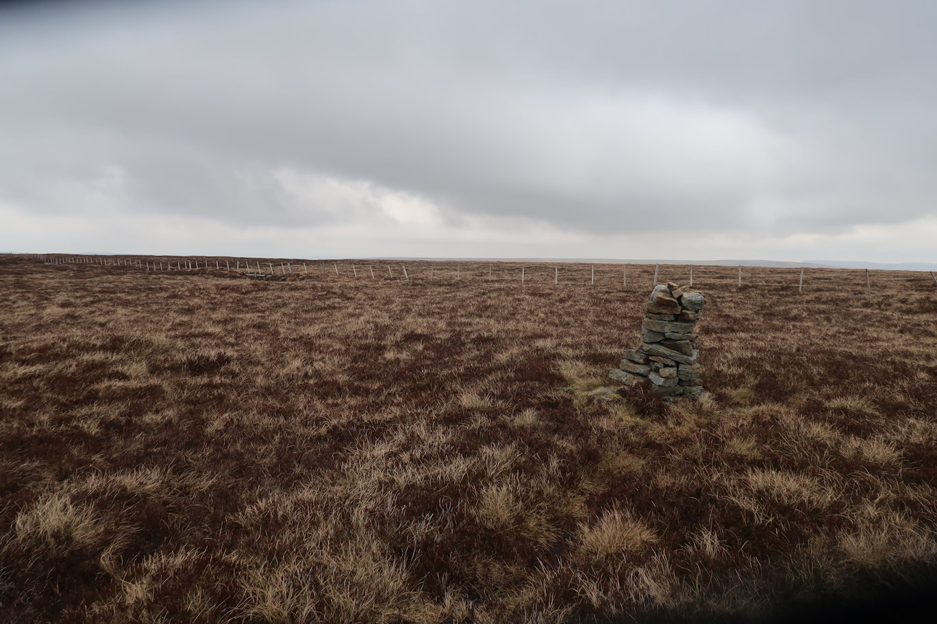 Burtree Fell Burtree Fell