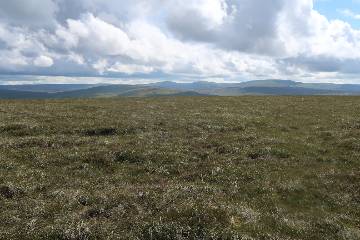 Summit of Flinty Fell Summit of Flinty Fell