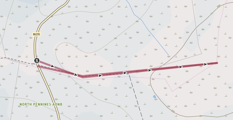 Burtree Fell Burtree Fell