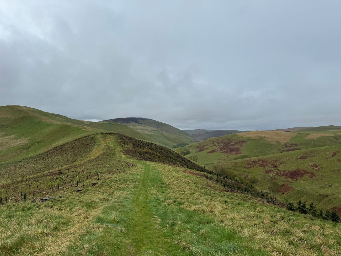 On the way up to Bloodybush Edge On the way up to Bloodybush Edge