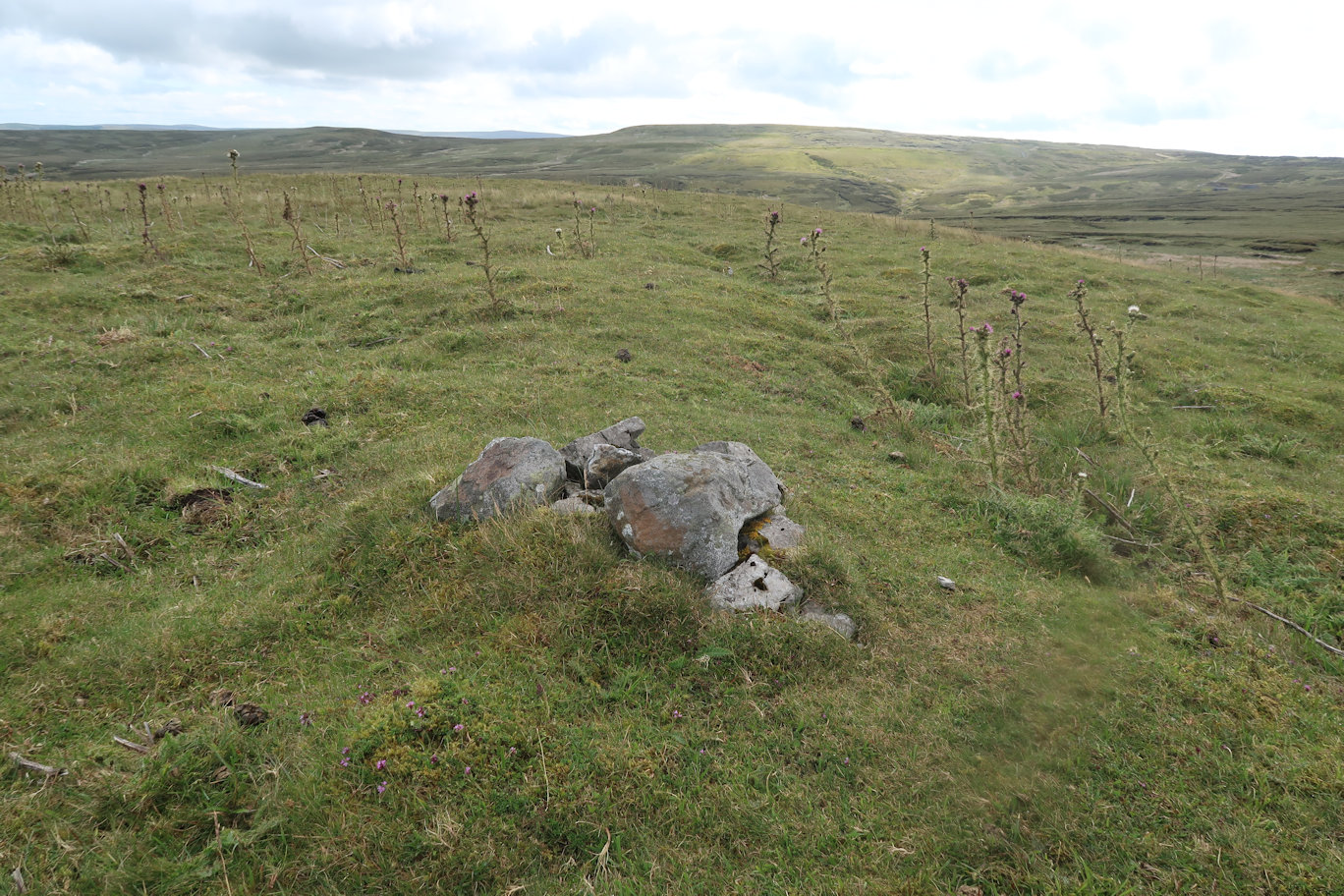 Summit of Bullman Hills