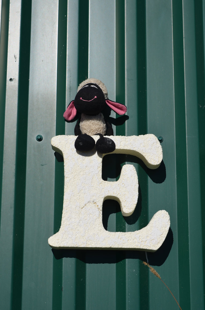 Siobhan at Base Camp Siobhan at Base Camp