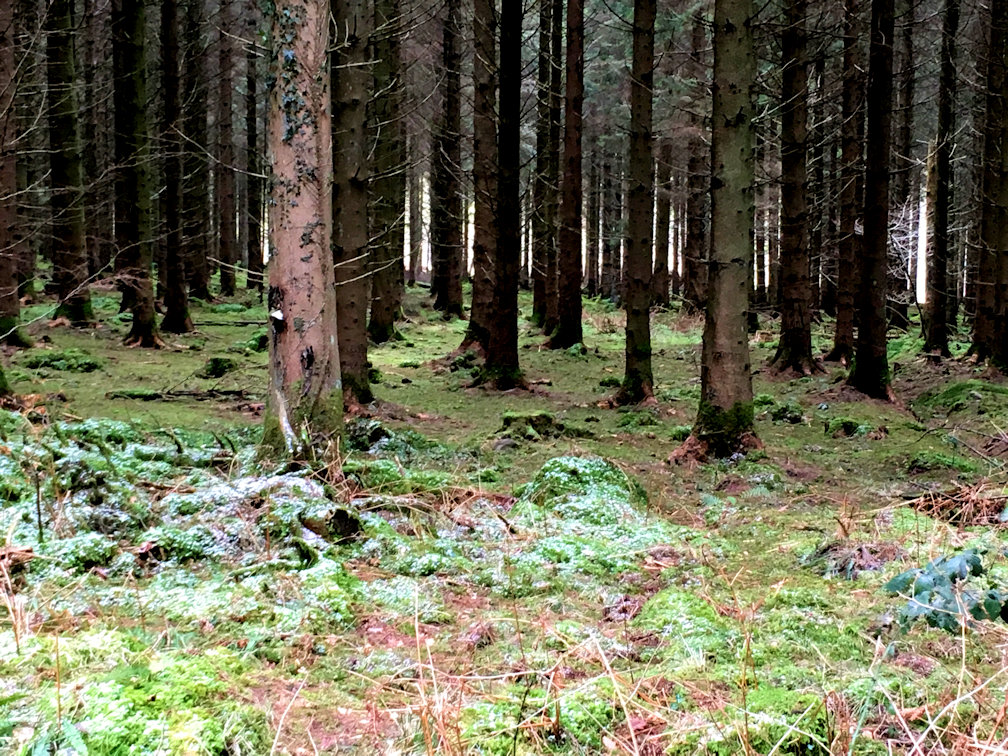 Gloucestershire Way Gloucestershire Way