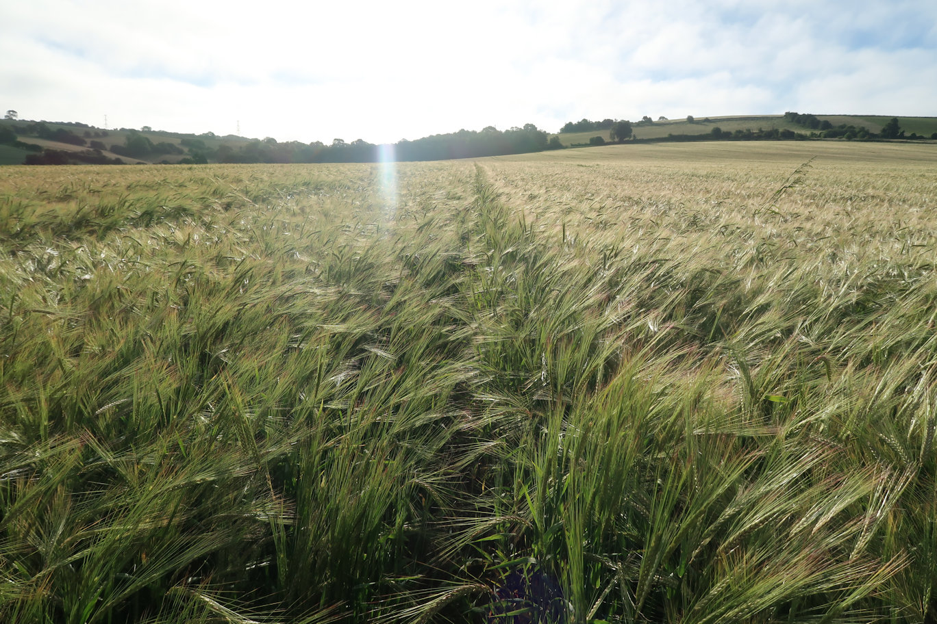 Gloucestershire Way Gloucestershire Way