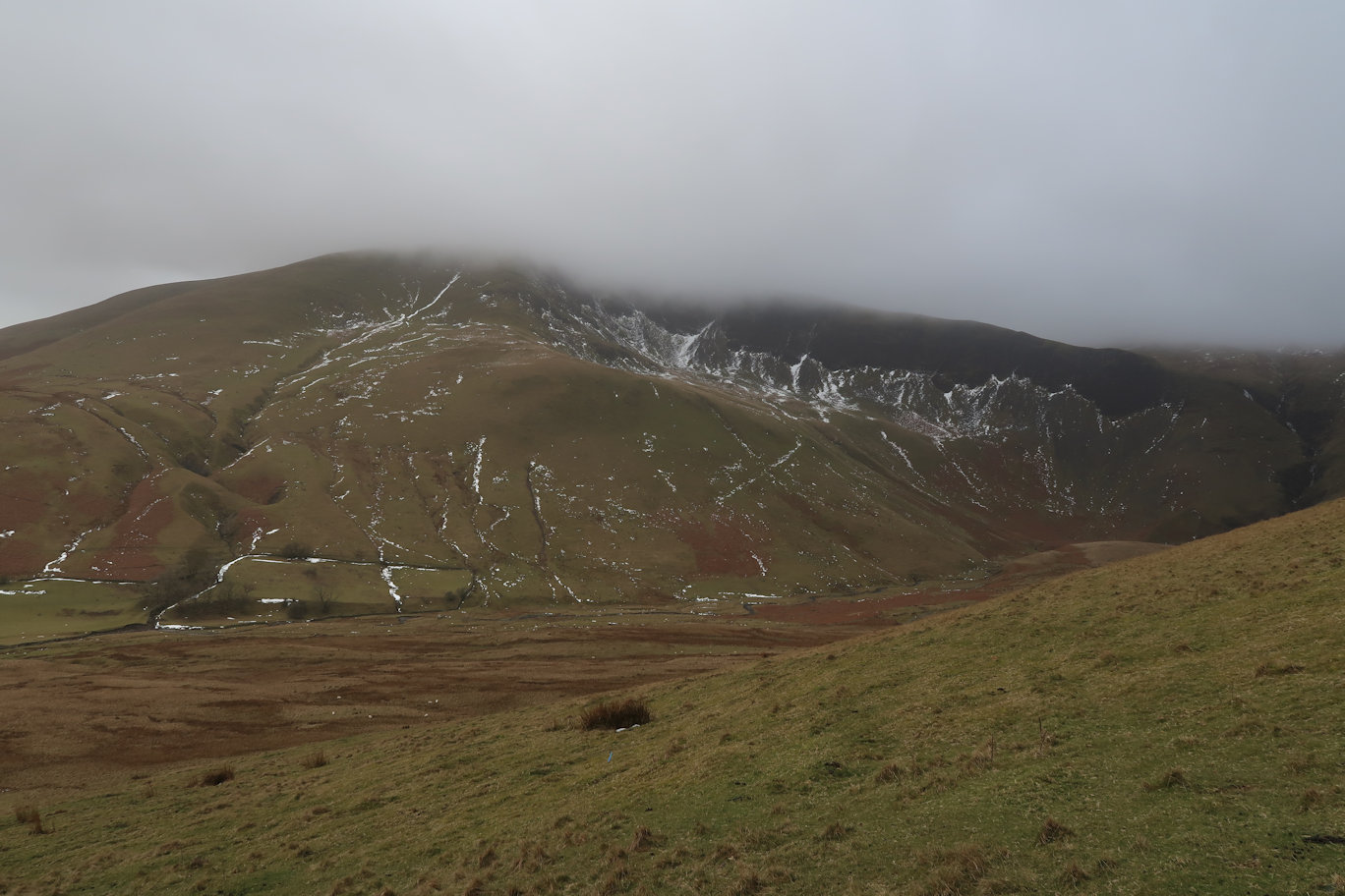 Great Dummacks Great Dummacks