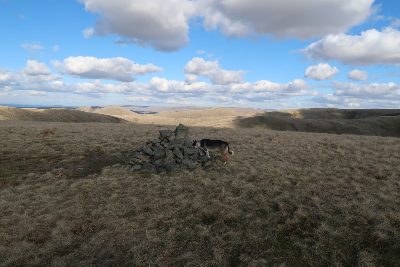 Fell Head Summit Fell Head Summit
