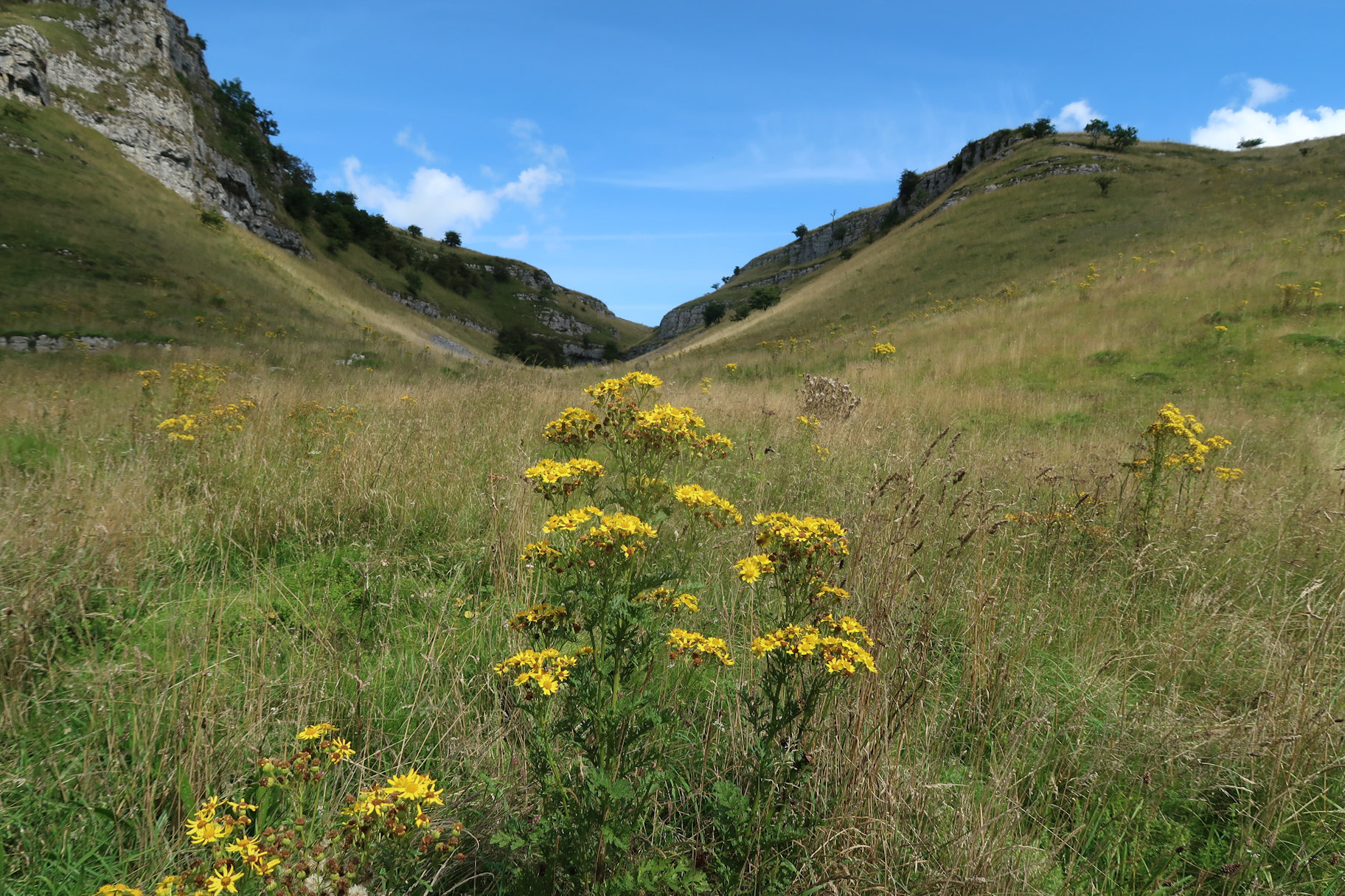 Lathkill Dale, Derbyshire Lathkill Dale, Derbyshire