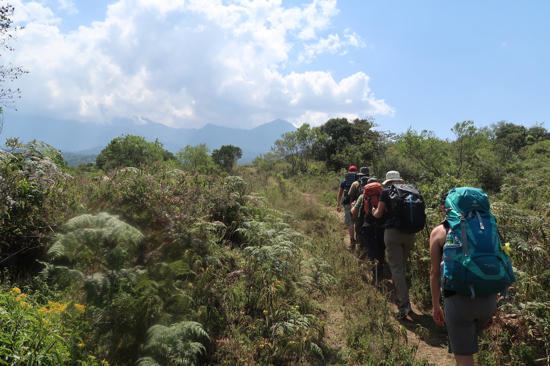 On the walk-in On the walk-in