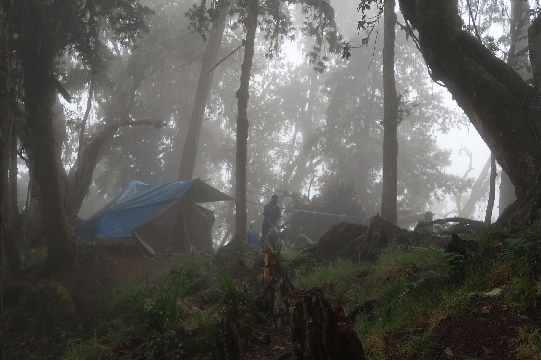 Forest Caves Campsite Forest Caves Campsite