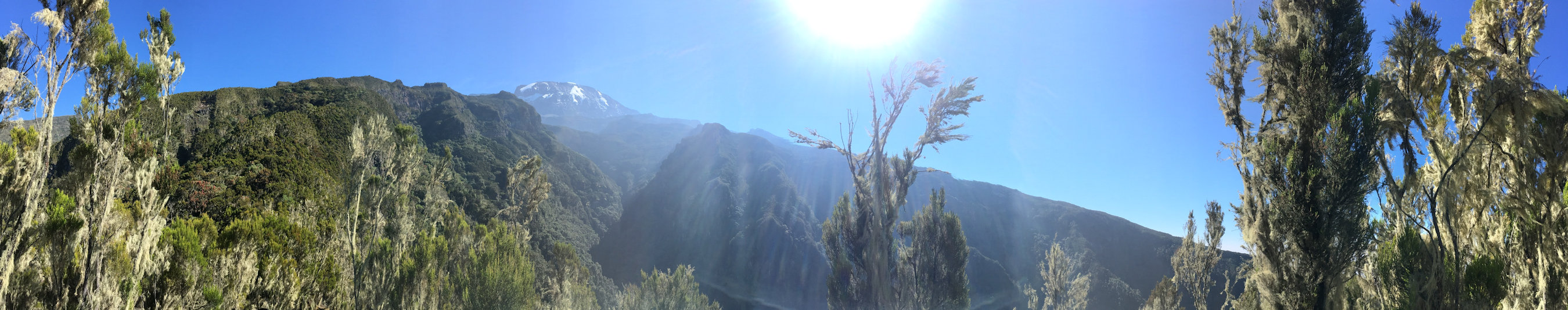 Kilimanjaro Kilimanjaro