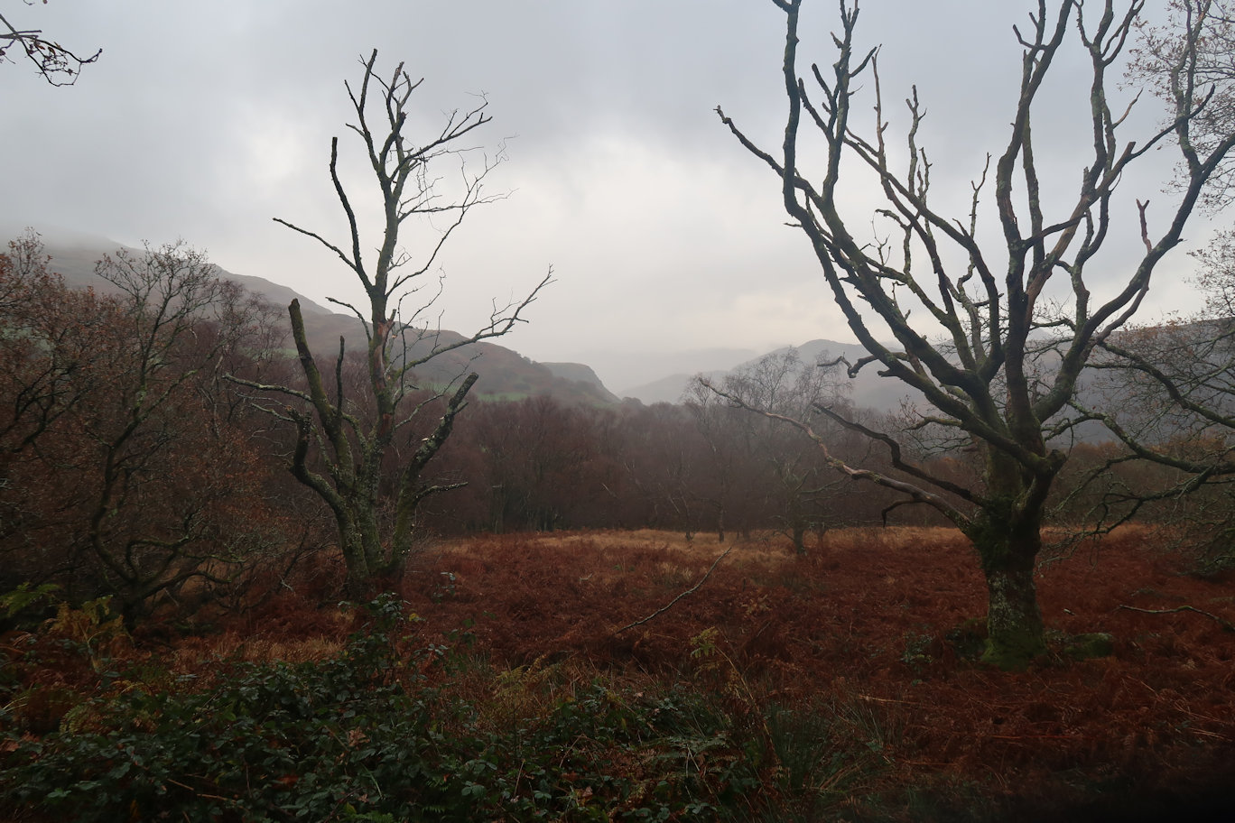 Descending towards Beddgelert Descending towards Beddgelert