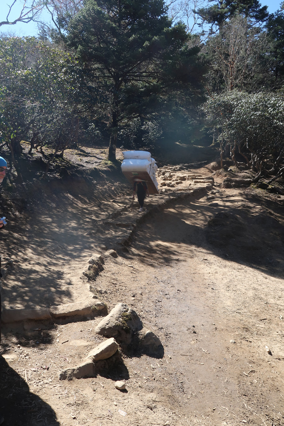 Sherpa carrying a heavy load Sherpa carrying a heavy load