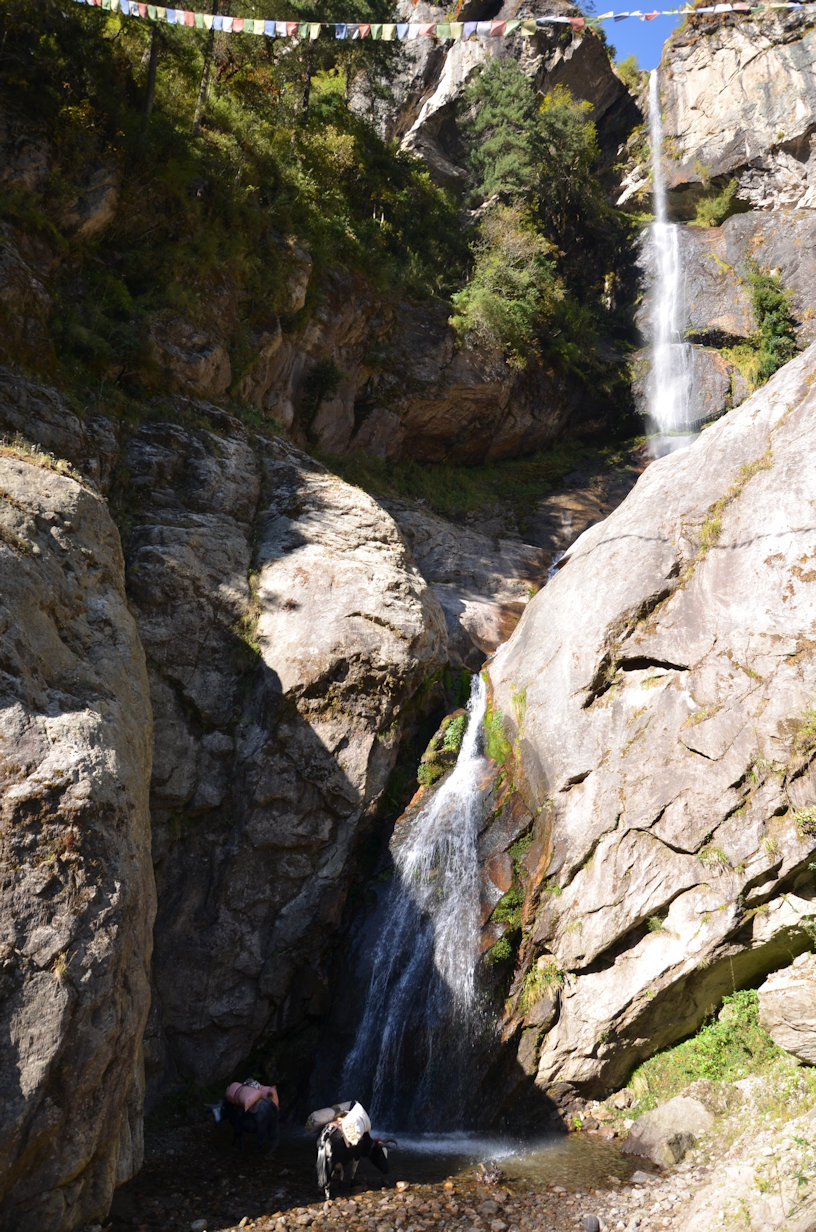 Washing the Yaks Washing the Yaks