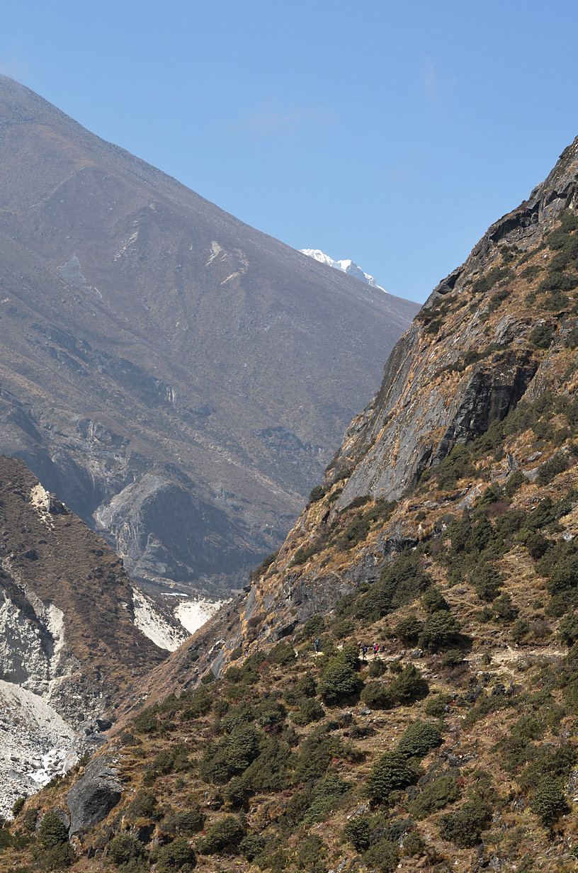 On the Trail On the Trail