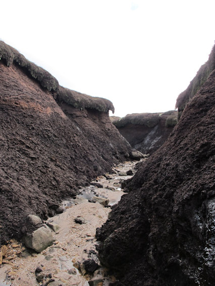 On Kinder Scout On Kinder Scout