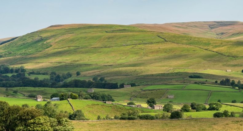 Great Shunner Fell Great Shunner Fell