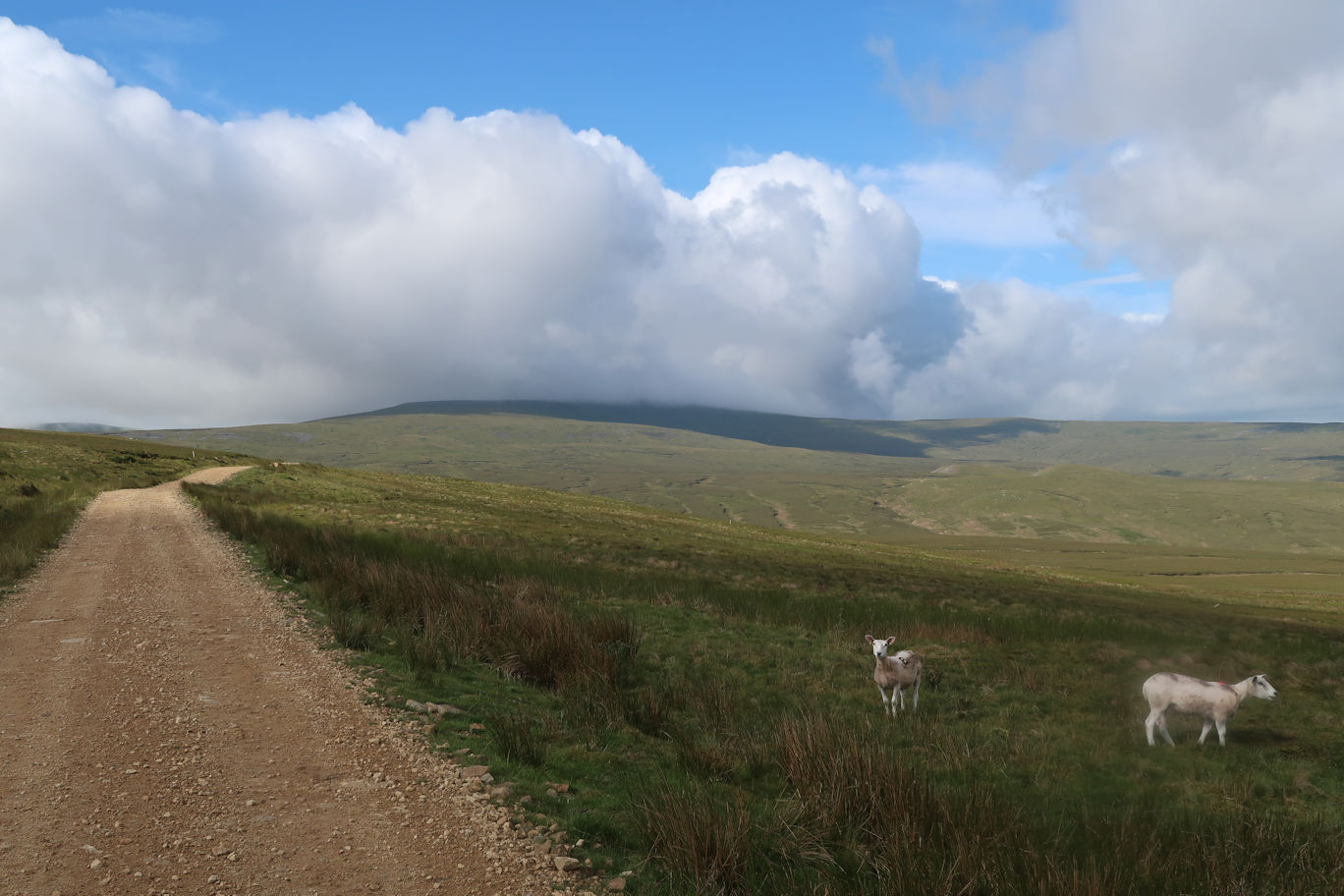 Cross Fell Cross Fell