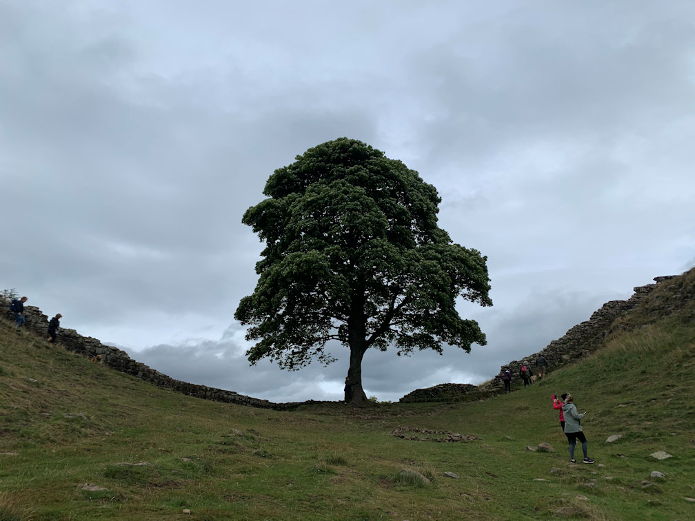 Hadrians Wall - Sycamore Gap Hadrians Wall - Sycamore Gap