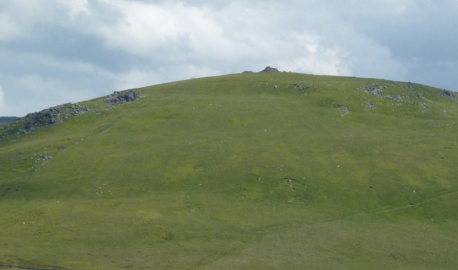 The Schill The Schill