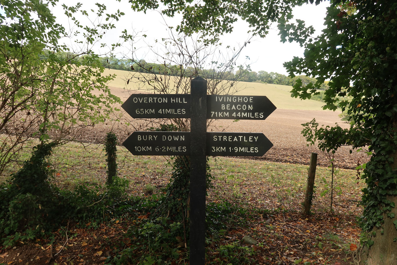 About Half Way About Half Way